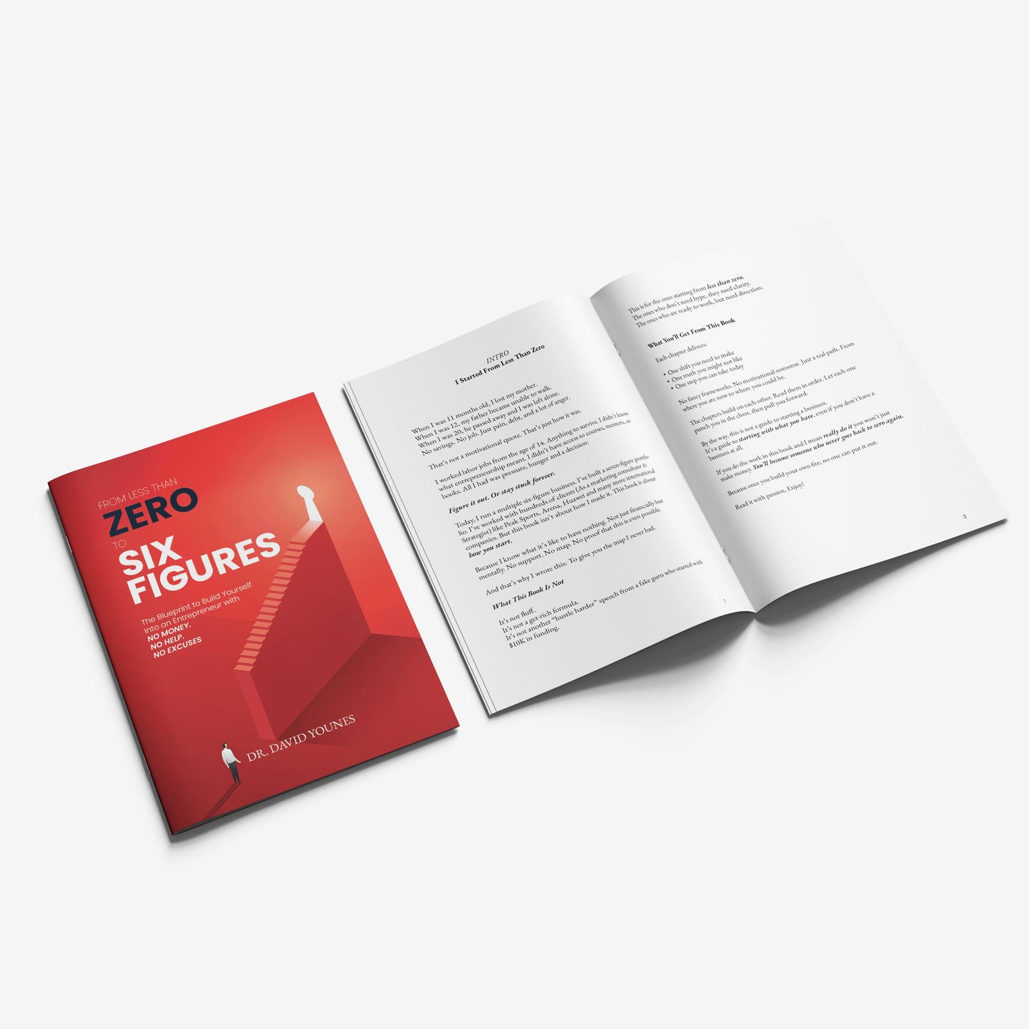 Zero to Six Figures - DR. David